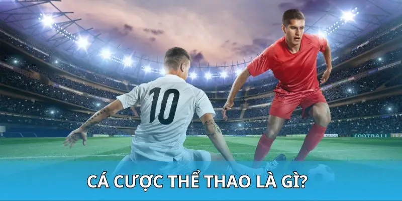 Cá cược thể thao là gì?